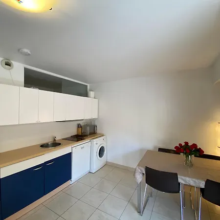 Apartament Grand Palais De La Mediterranee Beach Access Nicea