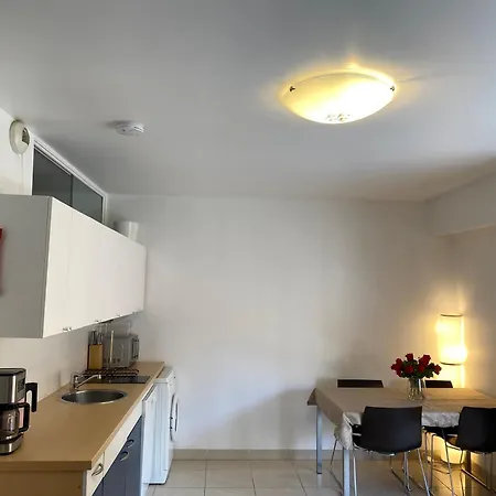 Apartament Grand Palais De La Mediterranee Beach Access Nicea